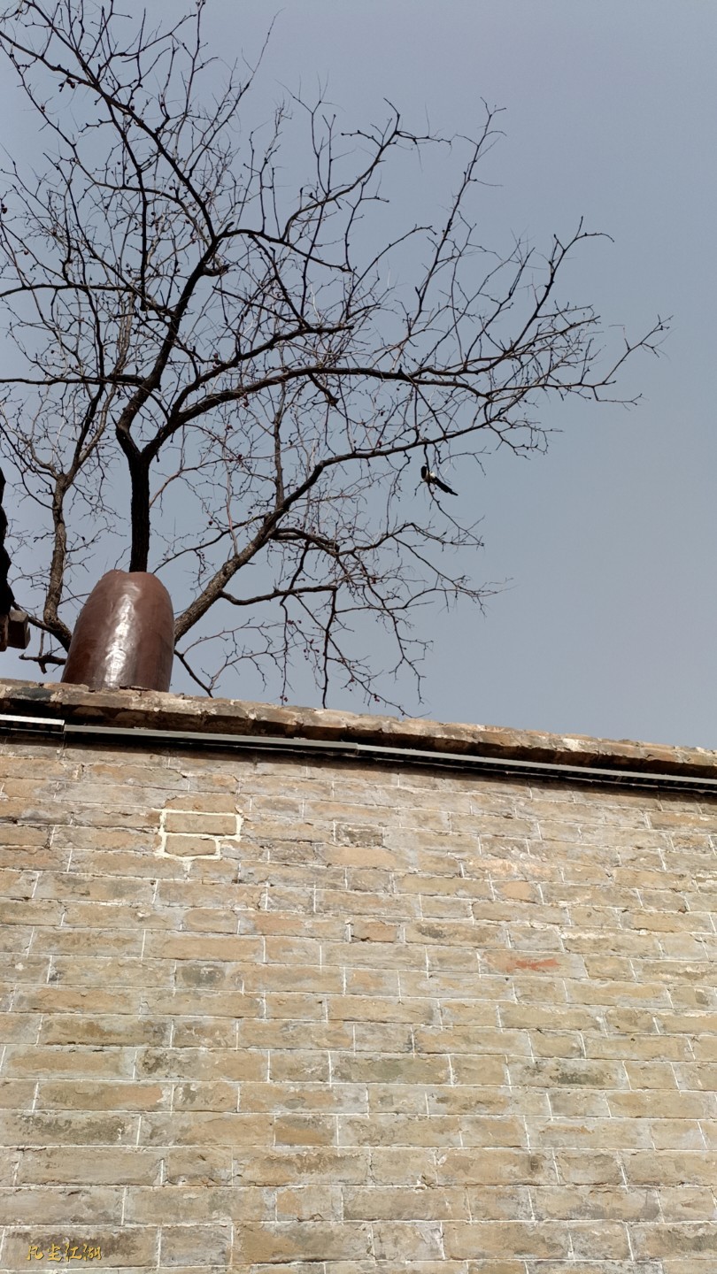 wx_camera_1742712935583.jpg